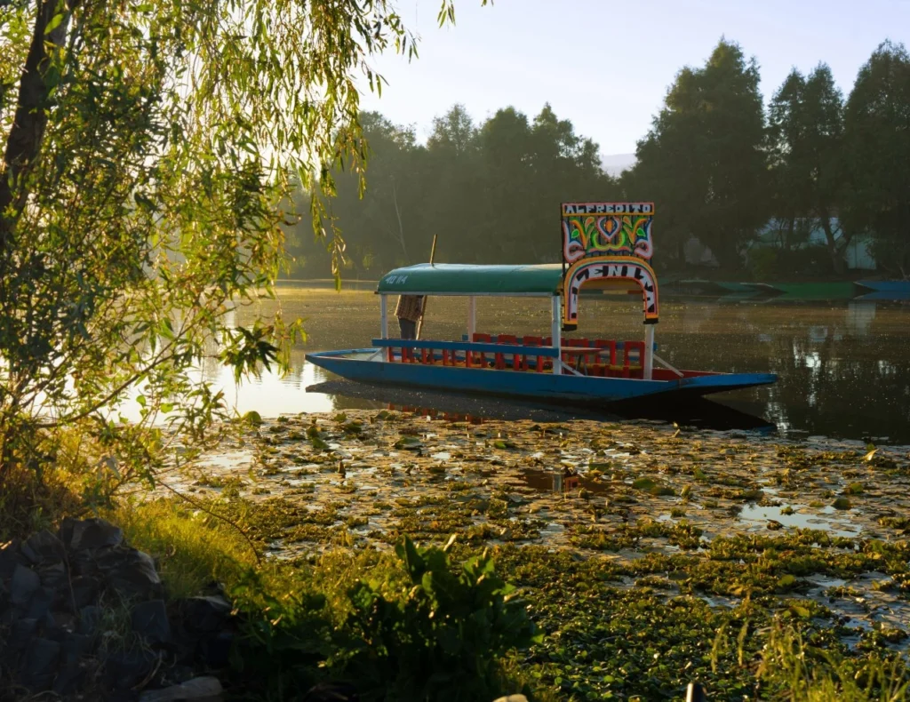 A colorful traditional trajinera boat floating on a calm canal covered in water lilies during sunrise in Xochimilco, Mexico City.